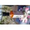 Körtés Chiliszósz